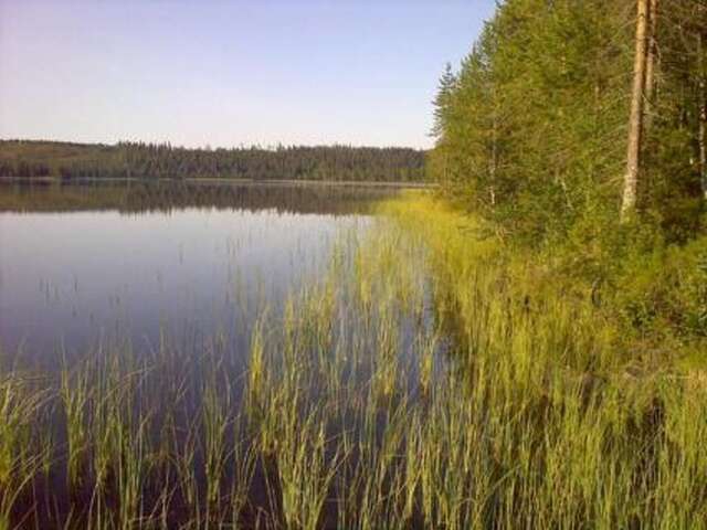 Дома для отпуска Holiday Home Muuttohaukka Рука-43